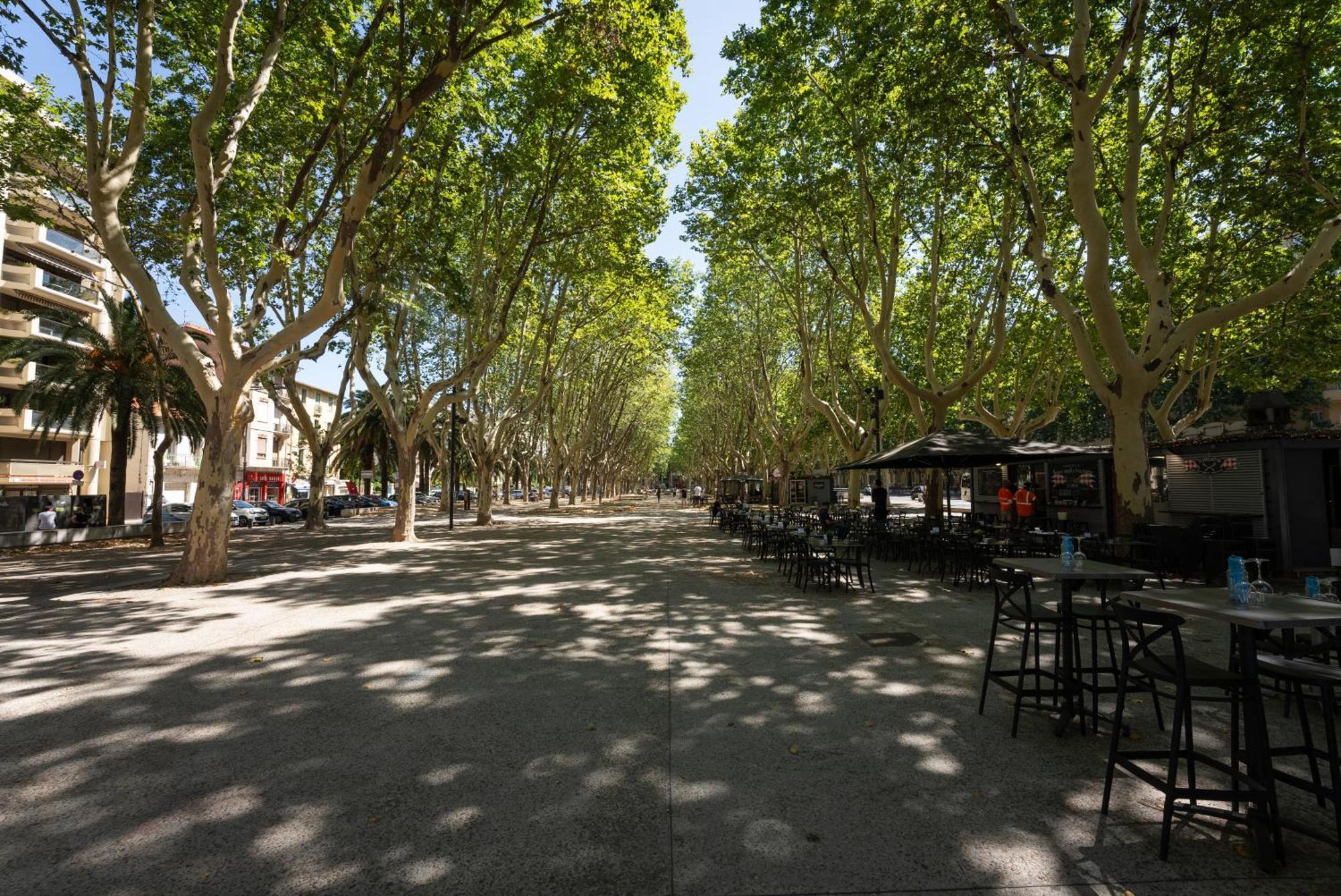 Mercure Perpignan Centre Eksteriør billede